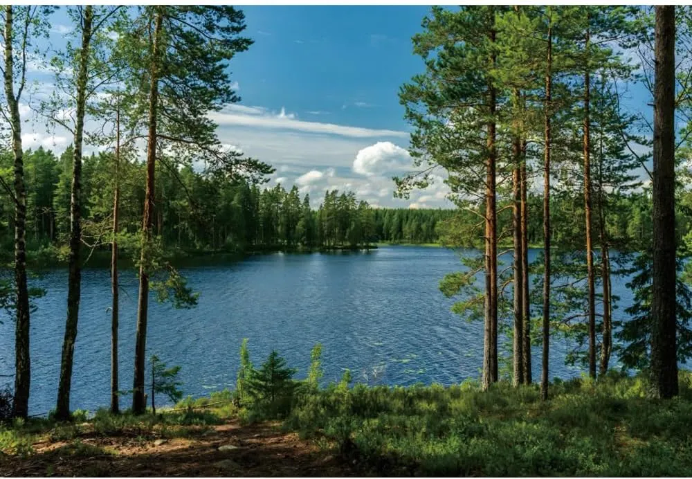 10x8ft Forest Lake Photo Backdrop Park Lakeside Green Trees Natural Scenery Background Banner Spring Summer Countryside Outdoor Picnic Camping Hiking Decor Kids Adults Portrait Studio Props
