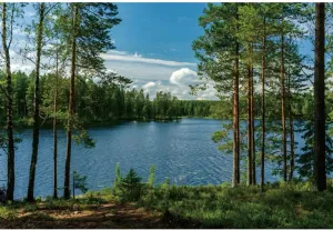 10x8ft Forest Lake Photo Backdrop Park Lakeside Green Trees Natural Scenery Background Banner Spring Summer Countryside Outdoor Picnic Camping Hiking Decor Kids Adults Portrait Studio Props