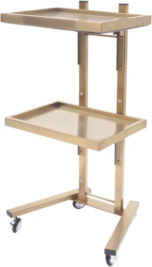 2 Tier Metal Rolling Cart, 33.86 Inch Salon Tray on Wheels, Folding Trolley, Stainless Steel Gold Esthetician Cart for Salon Studios Shop (Gold)