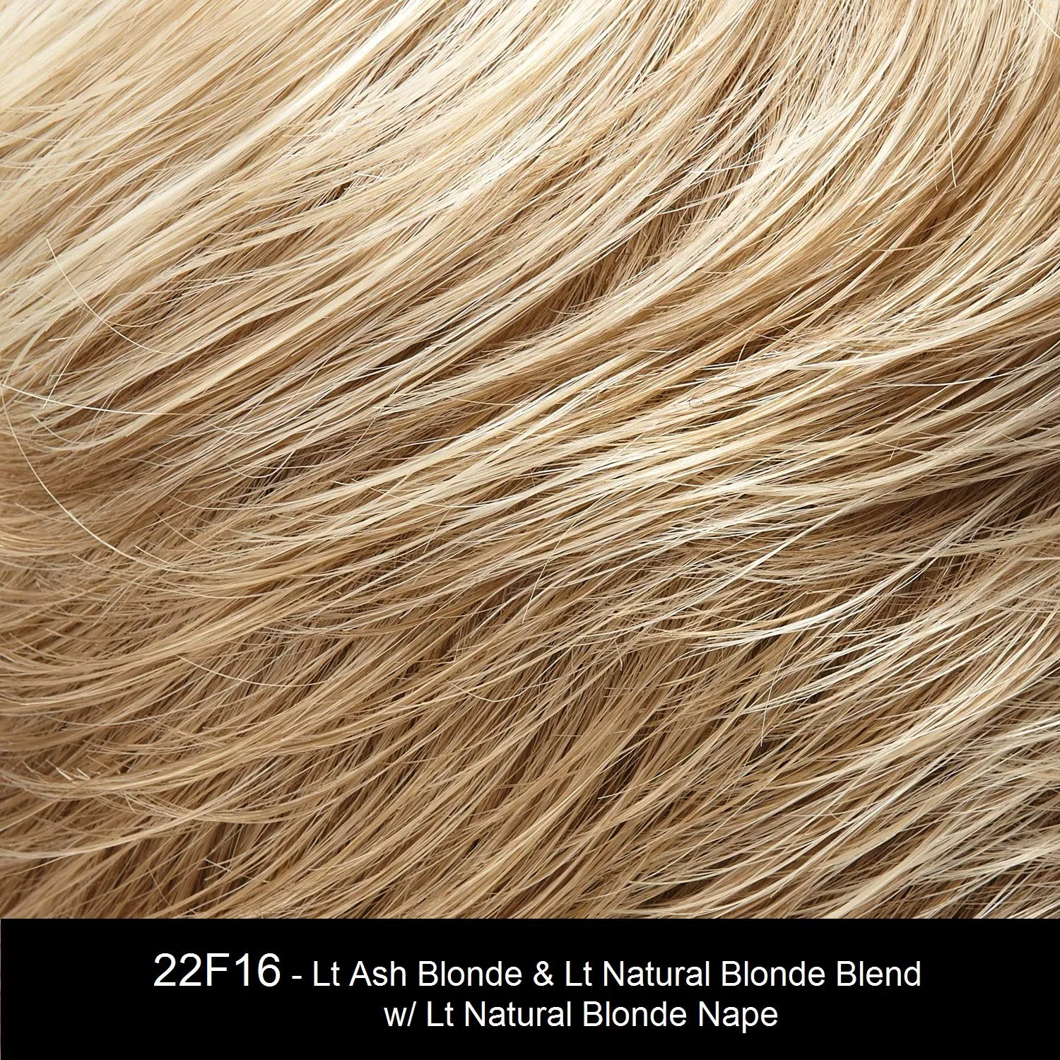 Jon Renau Ignite Lace Front HD Wig 4PC Bundle with Plastic Wig Stand, Wide Tooth Comb, 19 Belle of Hope Page Q and A Guide (22F16)