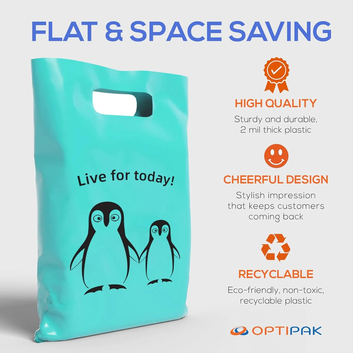 Plastic Bags with Handles,12x15 Merchandise Bags for Small Business,Die-Cut Retail Shopping & Boutique Bags,Vendor Event and Tradeshow Supplies,Live For Today