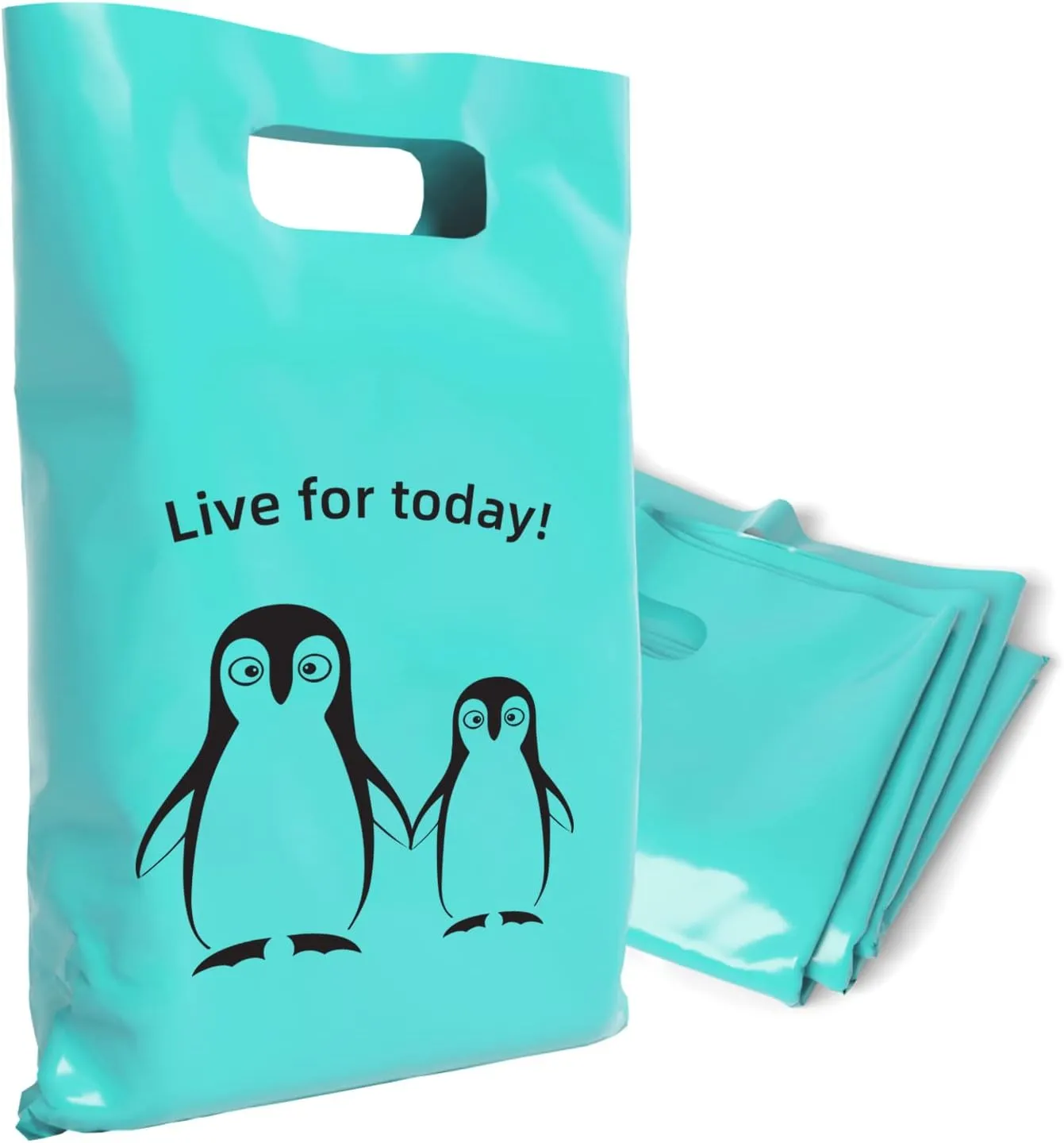 Plastic Bags with Handles,12x15 Merchandise Bags for Small Business,Die-Cut Retail Shopping & Boutique Bags,Vendor Event and Tradeshow Supplies,Live For Today