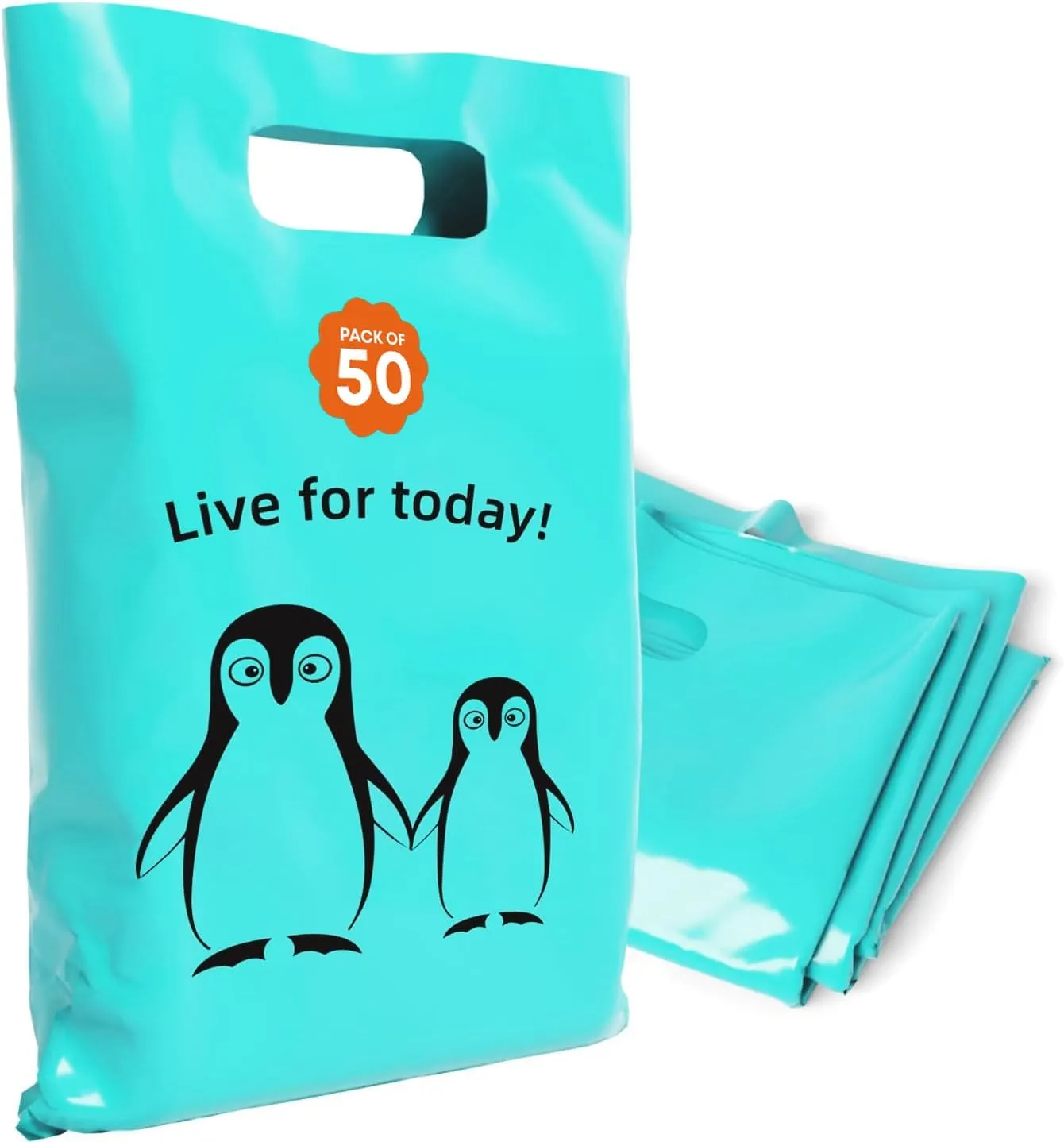 Plastic Bags with Handles,12x15 Merchandise Bags for Small Business,Die-Cut Retail Shopping & Boutique Bags,Vendor Event and Tradeshow Supplies,Live For Today