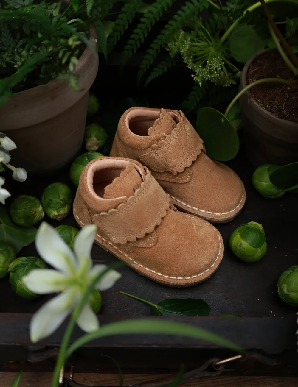 Scallop Velcro Boot - Sahara Suede