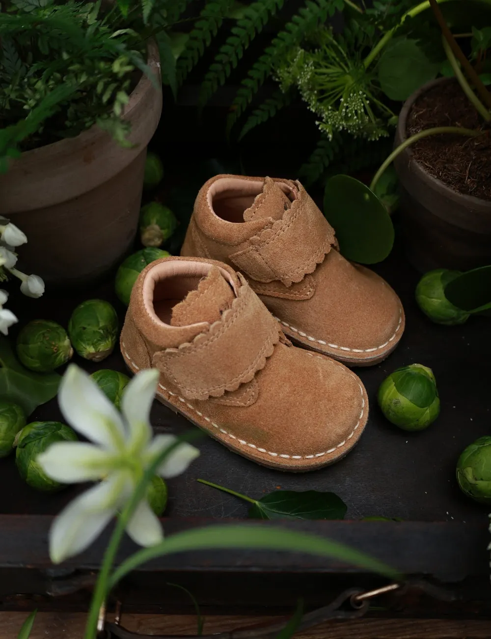 Scallop Velcro Boot - Sahara Suede
