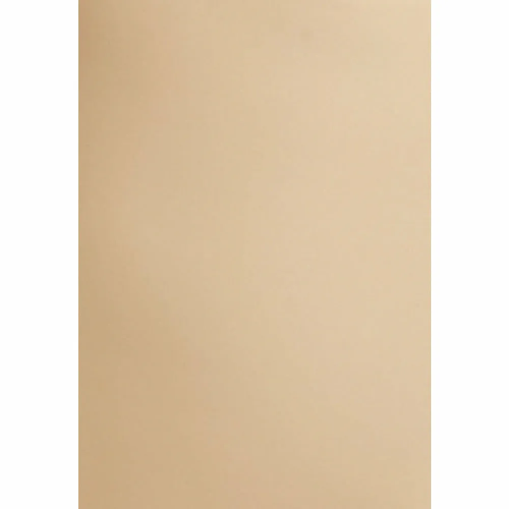 Sleek Solutions High Waist Shaping Brief