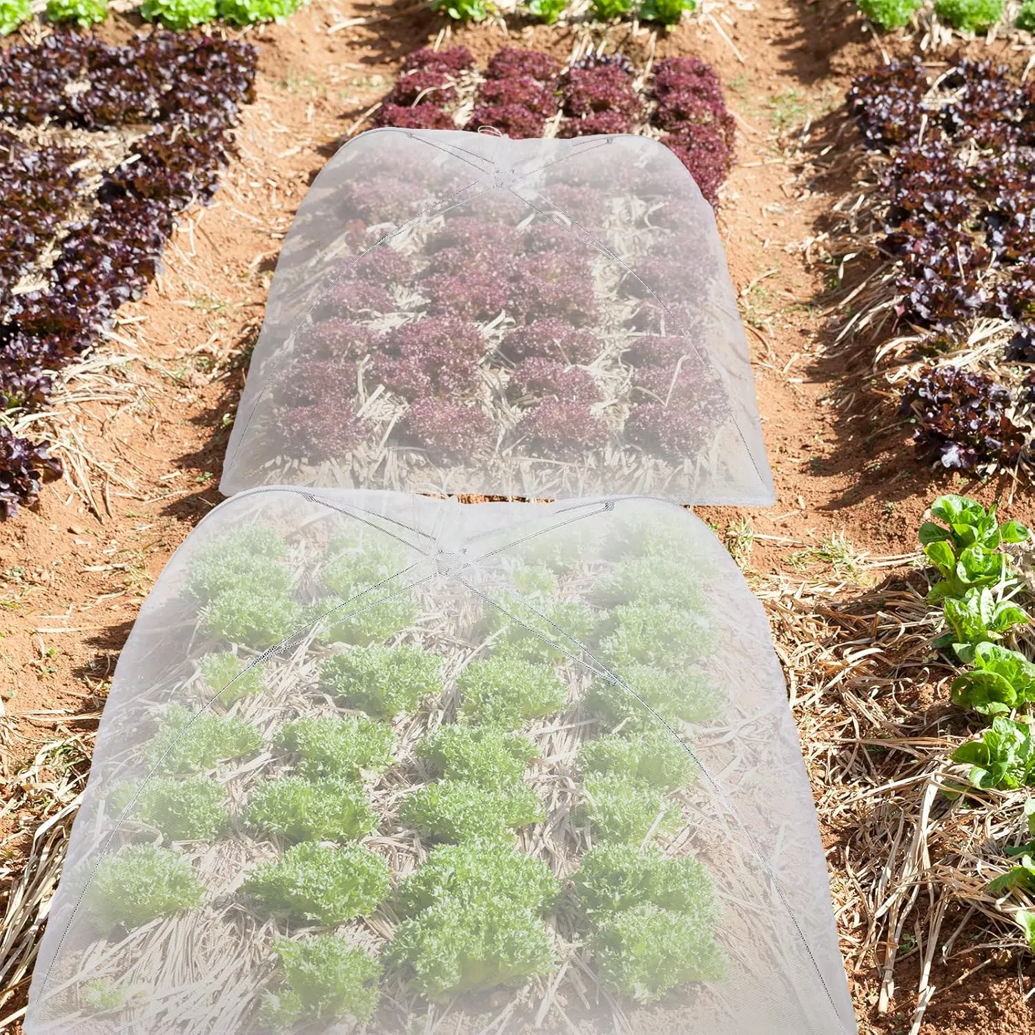 Tanlade 8 Pcs Mesh Plant Cover Protection Tent from Animals Reusable Dome Protect Tent Collapsible Plant Umbrella Netting Food Cover Net for Plants Food Vegetable(24 Inch,White)